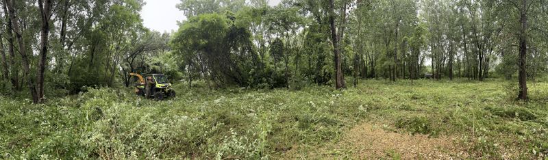 Land clearing and underbrush mulching on a large lot — Ultra Tree, South Shore of Montreal