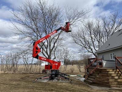 Tree pruning with an articulated bucket lift near a home — Ultra Tree